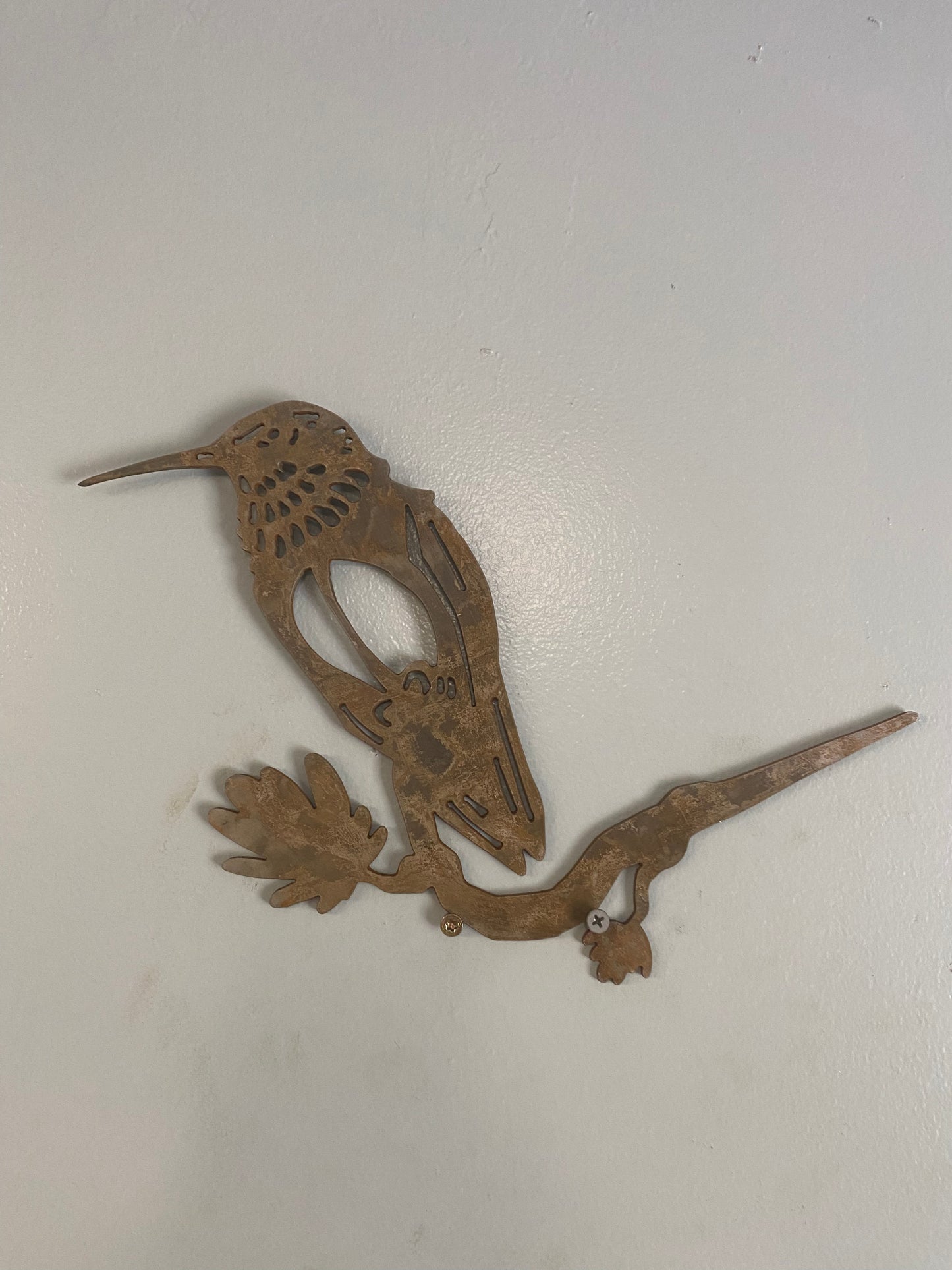 Colibri Bird on Branch