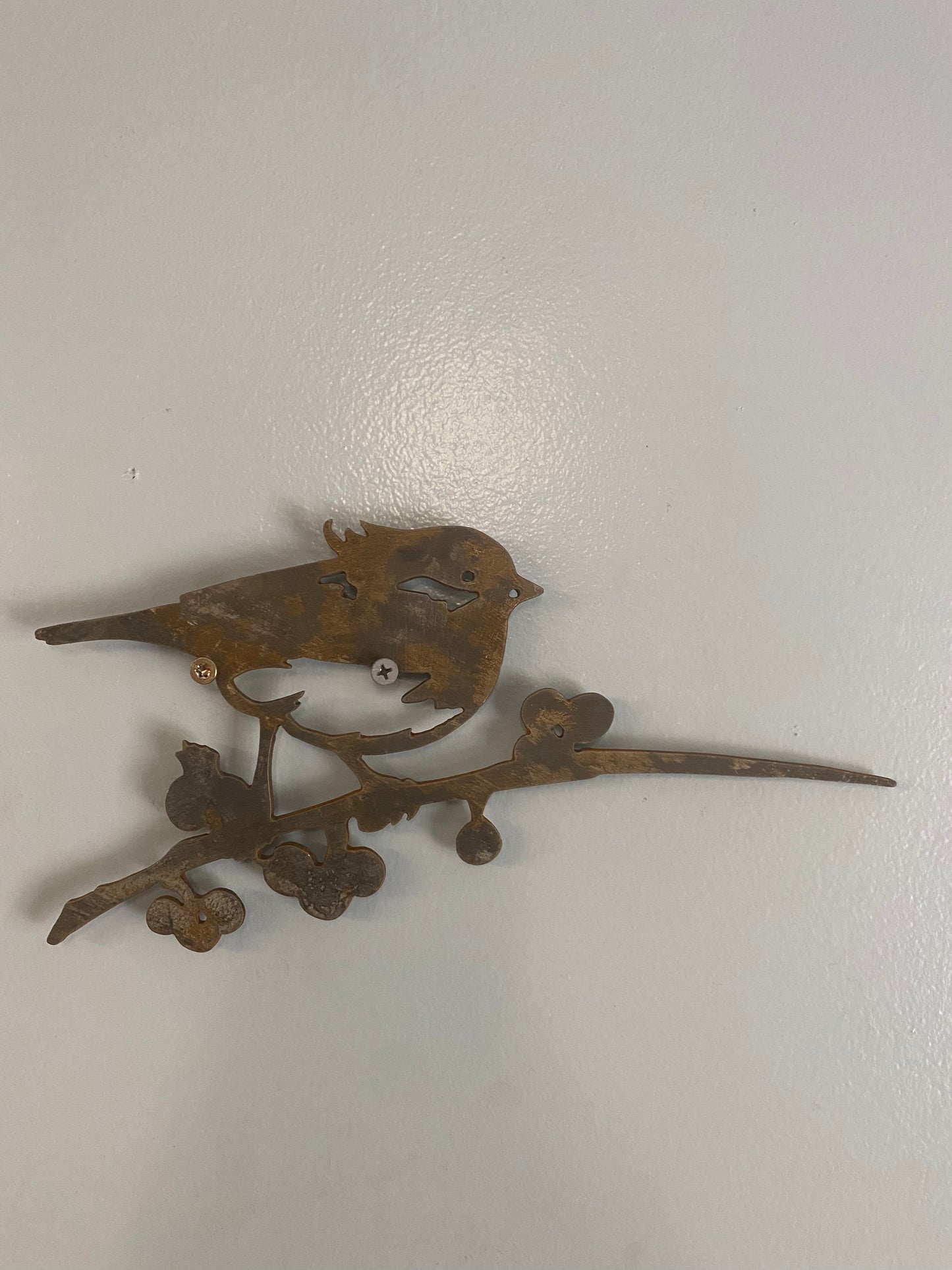 Small Crested Tit Bird on Branch